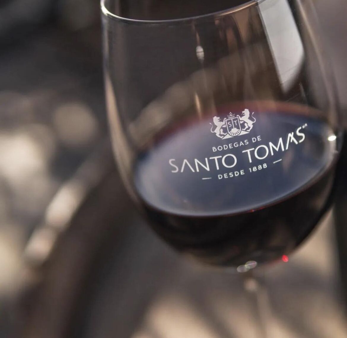 Imagen de las Bodegas de Vino Santo Tomás, celebrando 135 años de tradición vinícola en México.